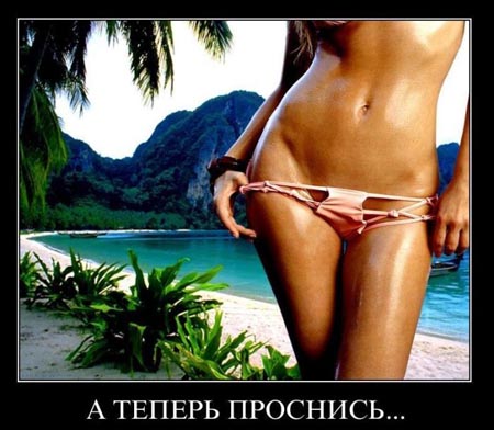1290858815_000 (450x392, 72Kb)