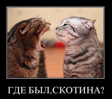 1294862759_demotivator128 (450x396, 39Kb)