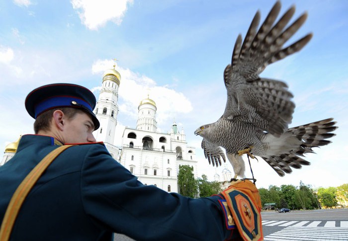 Орнитологи москвы