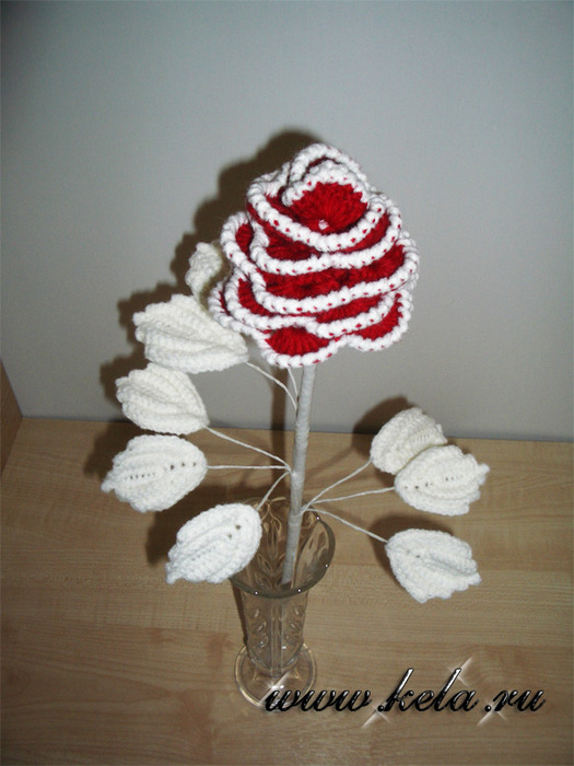 IMGP5317 (525x700, 106Kb)