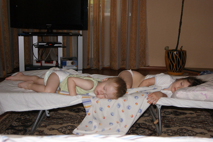 DSC01563 (700x465, 90Kb)