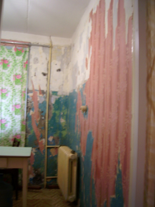 PIC_0001 (525x700, 95Kb)