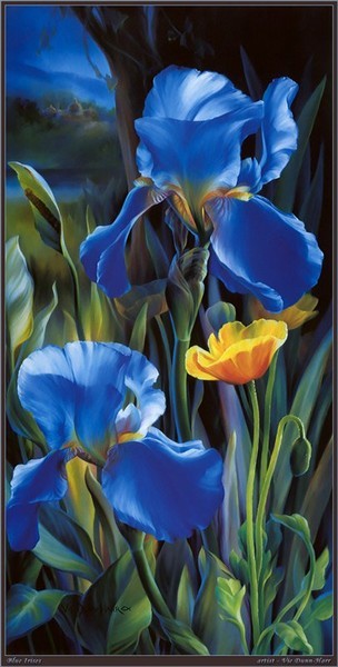 4430707_iris3_3_ (304x600, 54Kb)