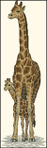 Превью Dimensions_13665_Giraffe Mother and Baby (200x628, 101Kb)