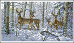 Превью Dimensions35130-Woodland_Winter (680x400, 372Kb)