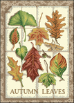  Dimensions35014-Leaves_of_Autumn (426x594, 314Kb)