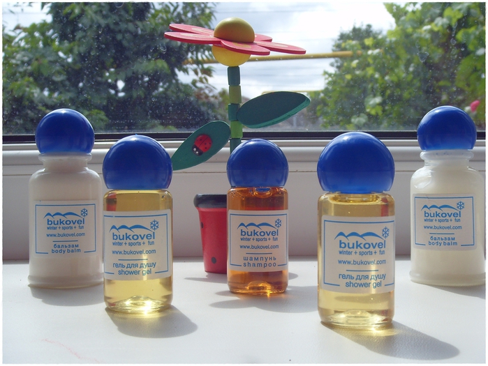 SDC17677 (700x525, 273Kb)