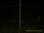 Превью Огурцы растут ночью (700x525, 76Kb)