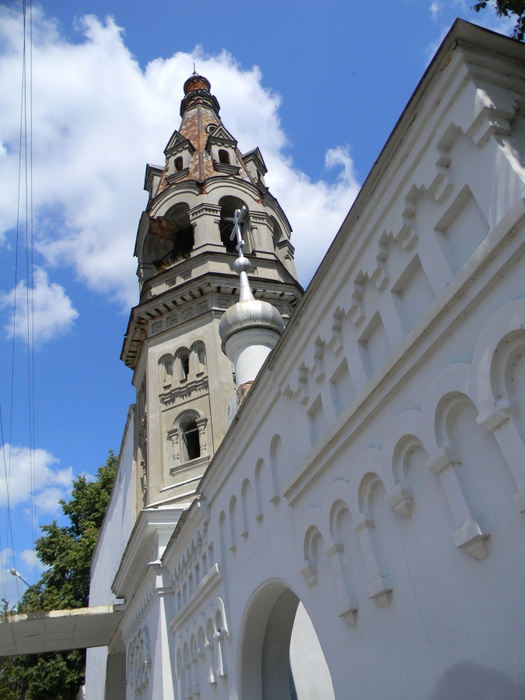 3014304_DSCN1739 (525x700, 259Kb)