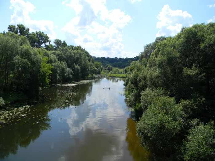 3014304_DSCN1754 (700x525, 300Kb)