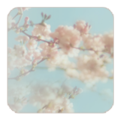    (250x241, 55Kb)