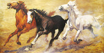  wild-horses-PB57_l (700x360, 124Kb)