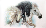  horse-painting-black-and-white-beauties-PA87_l (700x439, 128Kb)