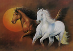  horses-poster-fire-and-ice-PH06_l (700x487, 114Kb)
