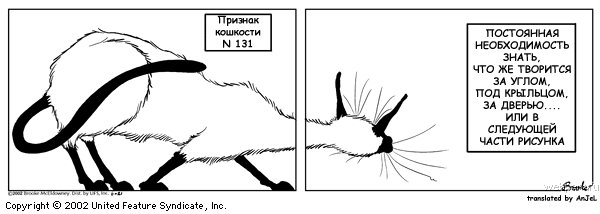 4485391_priznak_koshkosti_90 (600x214, 32Kb)
