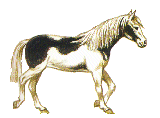 74679608_Horse28 (160x118, 30Kb)