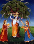  pacc118_shri_krishna_with_the_flute (500x649, 115Kb)