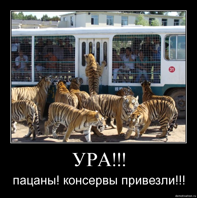 74939133_xmbqgy3tsw53 (684x687, 115Kb)