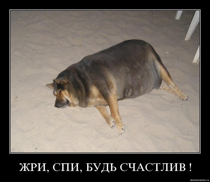 74939129_xkaqzddcsoxz (699x605, 193Kb)