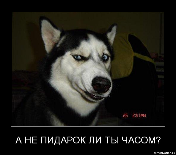 74939151_yciiwqqvf36e (592x522, 74Kb)