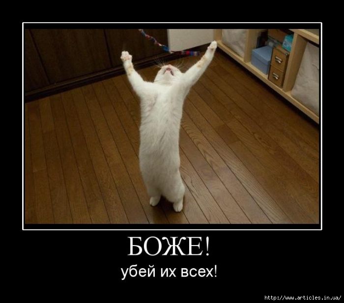 75244022_demotivatoriozhizni50foto_13 (700x617, 117Kb)