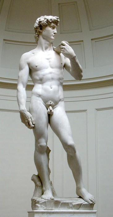 david-von-michelangelo -   !!! (366x700, 50Kb)