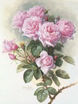  Paul_de_Longpré_-_Roses_and_Bumblebees_1899 (387x512, 54Kb)