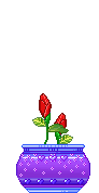 4265093_blestiashka53 (92x178, 20Kb)
