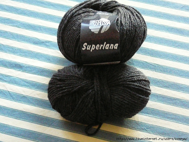 P1060653_medium2 (640x480, 271Kb)