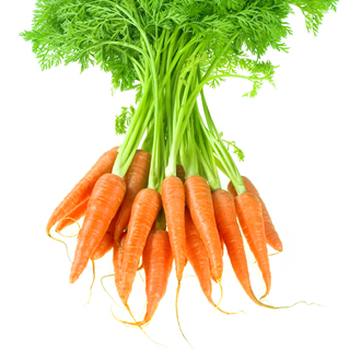 seed_Carrot (320x320, 89Kb)