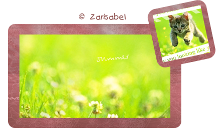 Preview_of (430x270, 151Kb)