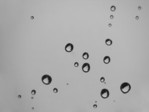  14863198_Drops_of_water____by_jeremi12 (300x225, 5Kb)