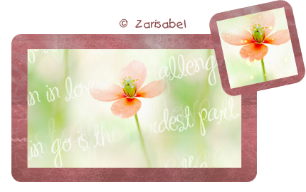Preview_of (430x270, 133Kb)