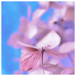 the_sweetness2_ (150x150, 31Kb)