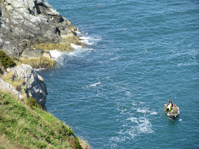 IMG_4329 (700x525, 269Kb)