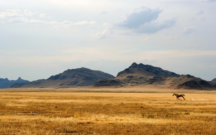 Nature_Mountains_Wild_West_015008_ (700x437, 76Kb)