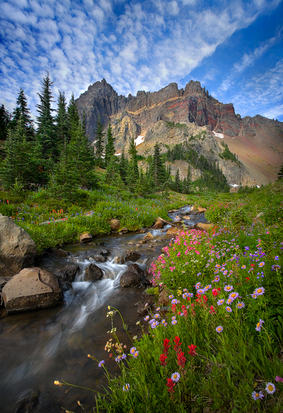 Beautiful-Day (411x600, 377Kb)