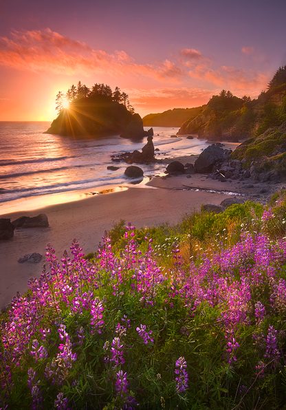 Beach-Garden (416x596, 331Kb)