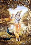  krishna (8) (400x589, 307Kb)