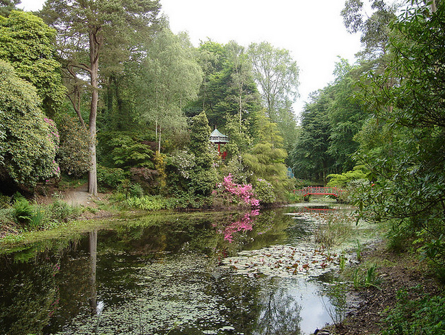 Portmeirion Garden Lake  Flickr - Photo Sharing! (650x489, 845Kb)