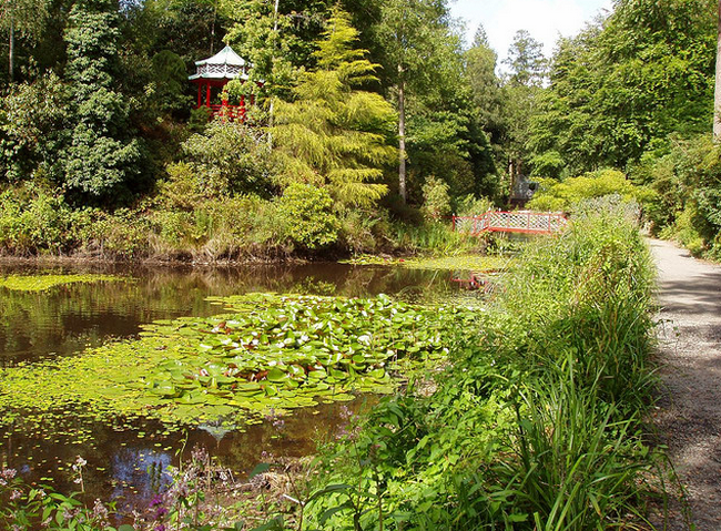 Pond in gardens  Flickr - Photo Sharing! (650x479, 882Kb)