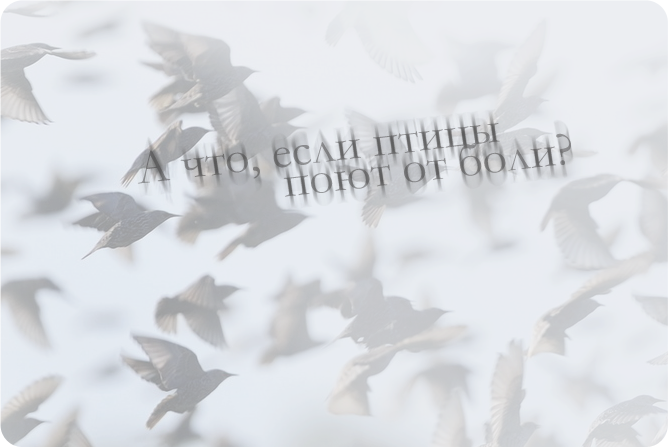 3770037_epigraf_1_ (668x447, 276Kb)