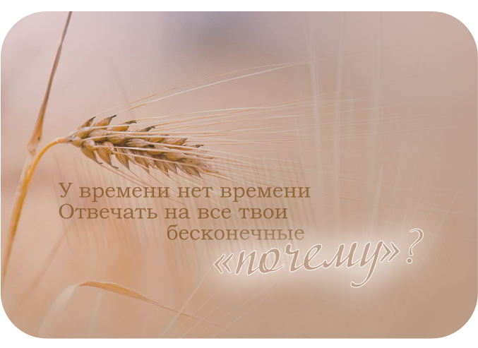 3770037_epigraf_1 (677x493, 351Kb)