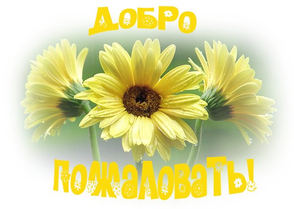 61425553_1ad99d3dea71 (600x426, 41Kb)