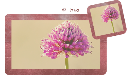 3770037_Preview_of_1_ (430x270, 132Kb)