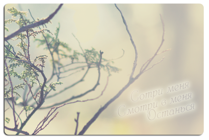 3770037_reWalls_com42288 (700x470, 408Kb)