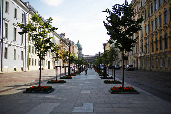 Малая конюшенная улица в санкт петербурге