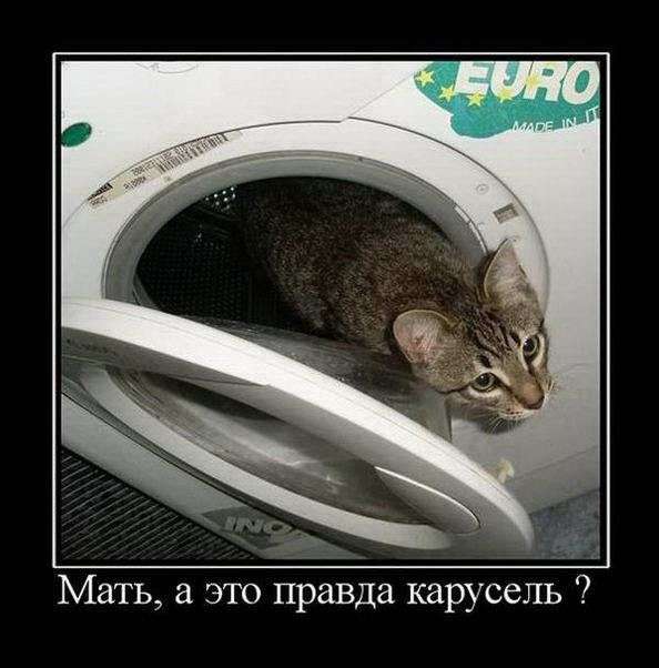 1309807311_s3img_161461572_18374_1 (594x602, 41Kb)
