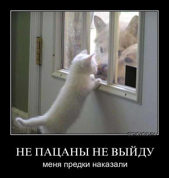 1311021314_s3img_146634562_6311_1 (580x612, 28Kb)