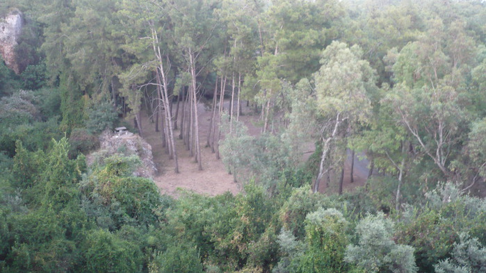 P1100443 (700x393, 113Kb)